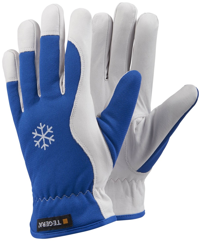 HANDSCHOEN TEGERA 217 (1PR)