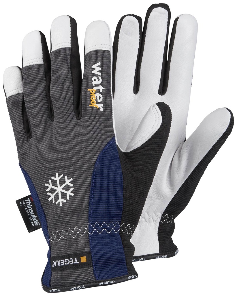 GANT TEGERA 295 (1PR)